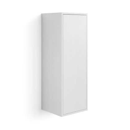 Hängeschrank Iacopo 104 mit Flügeltüre, Esche Weiß