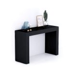 Consolle Ingresso Evolution 120x40, Nero Frassino
