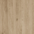 Light Oak