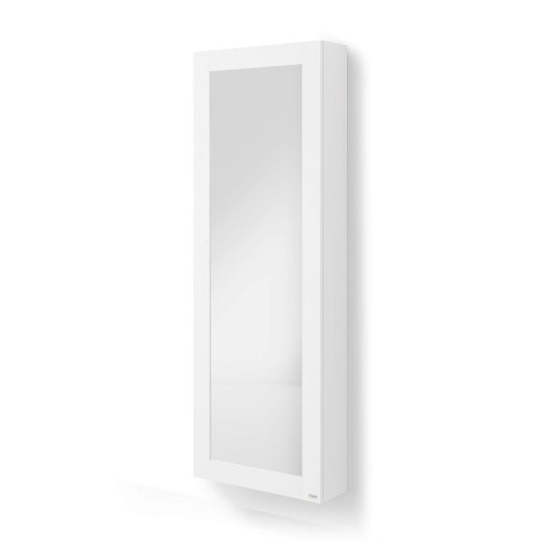 Rachele Wall-Mounted Mirrored Shoe Cabinet, 67x24 in, Ashwood