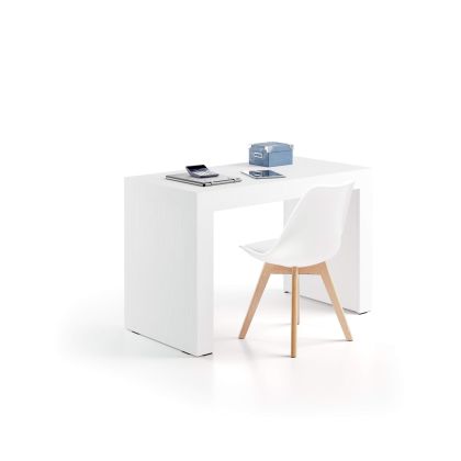 Evolution Desk 47.2 x 23.6 in, Ashwood White with Two Legs